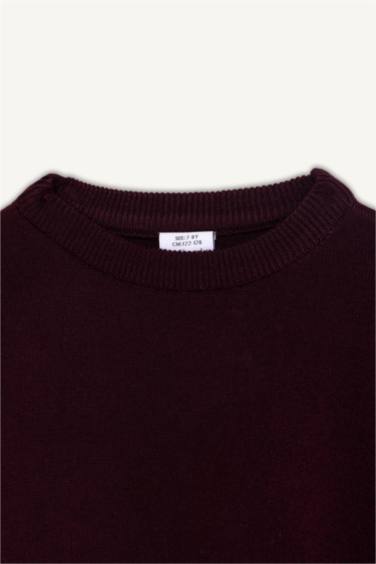 Boy Regular Fit Crew Neck Knit Pullover
