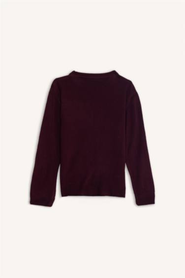 Boy Regular Fit Crew Neck Knit Pullover