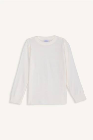 Boy Regular Fit Crew Neck Knit Pullover