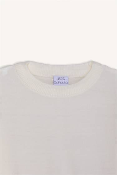 Boy Regular Fit Crew Neck Knit Pullover