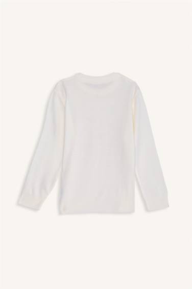 Boy Regular Fit Crew Neck Knit Pullover