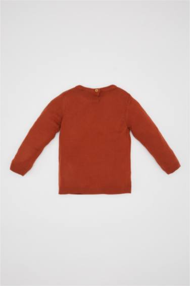 Baby Boy Crew Neck Basic Knitted Pullover
