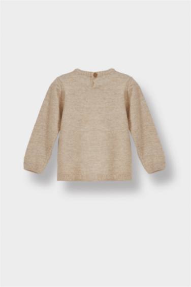 Baby Boy Regular Fit Crew Neck Knit Pullover
