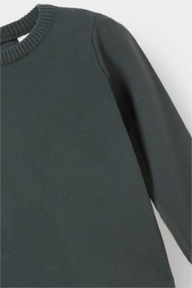 Baby Boy Regular Fit Crew Neck Pullover