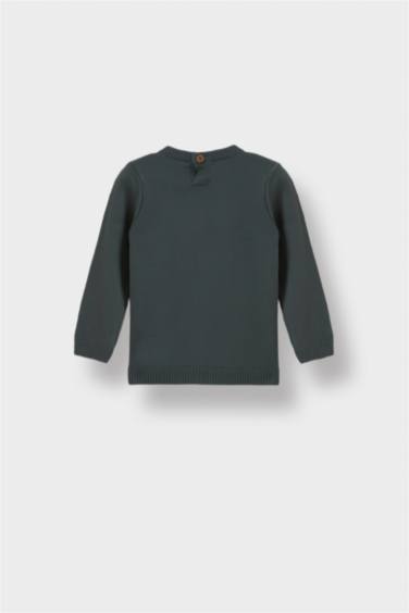 Baby Boy Regular Fit Crew Neck Pullover