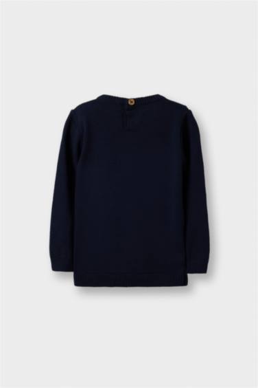 Baby Boy Regular Fit Crew Neck Knit Pullover