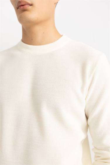 Standard Fit Crew Neck Knitwear Pullover