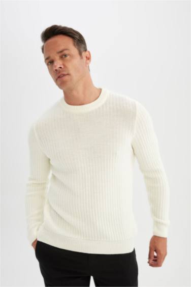 Standard Fit Crew Neck Jacquard Knitted Pullover