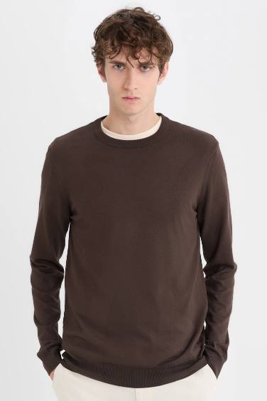 Regular Fit Crew Neck Knitwear Pullover