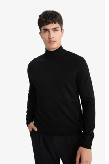 Regular Fit Turtleneck Knitwear Pullover