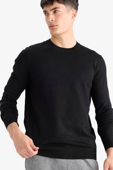 Regular Fit Crew Neck Knitwear Pullover