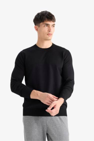 Regular Fit Crew Neck Knitwear Pullover