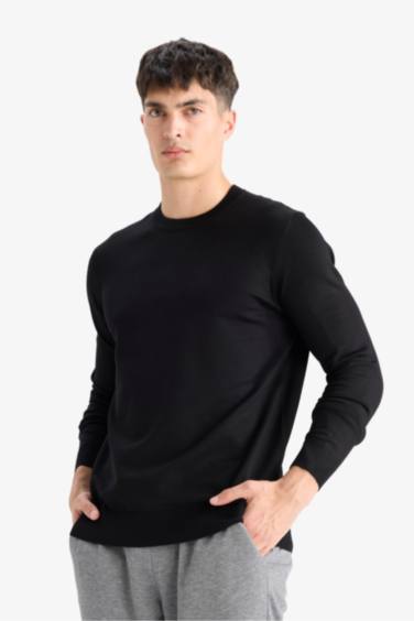 Regular Fit Crew Neck Knitwear Pullover