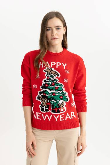 Christmas Themed Crew Neck Knit Pullover