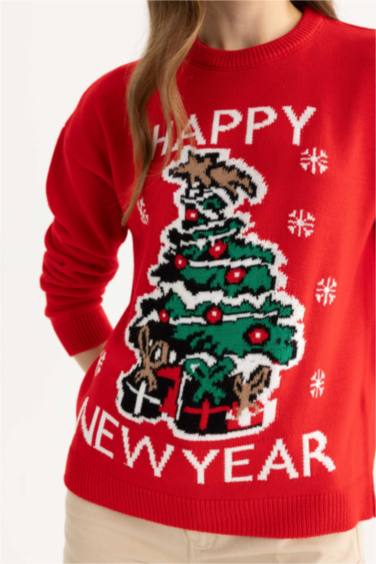 Christmas Themed Crew Neck Knit Pullover