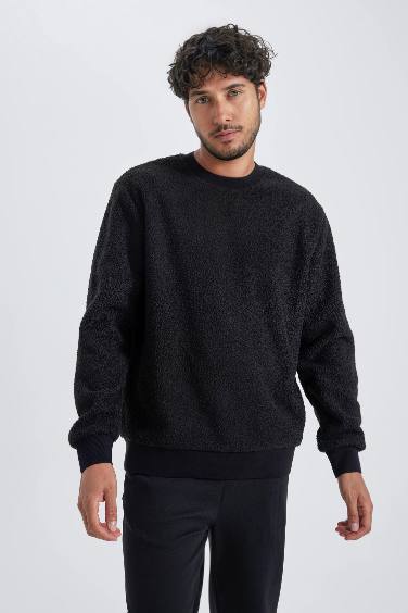 Regular Fit Bisiklet Yaka Basic Düz Pelüş Sweatshirt