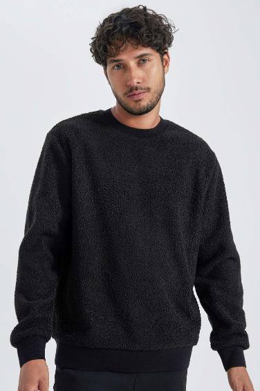 Regular Fit Long Sleeve Sweatshirt