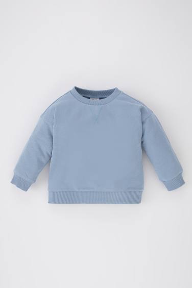 Regular Fit Crew Neck Sweatshirt