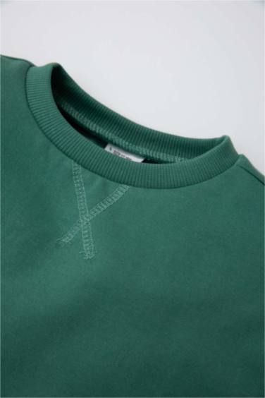 Baby Boy Cotton Regular Fit Crew Neck Sweatshirt