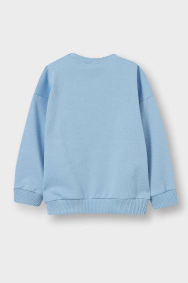 سويت شيرت ولادي سادة قصة عادية بياخة مستديرة