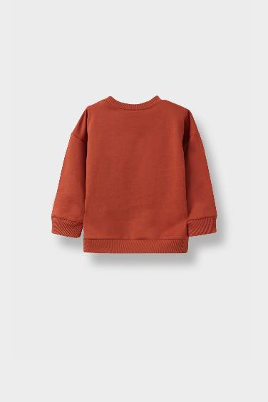 Baby Boy Crew Neck Basic Sweatshirt
