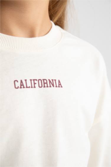 Regular Fit Long Sleeve T-Shirt