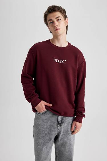 Regular Fit Printed Long Sleeve Sweatshirt