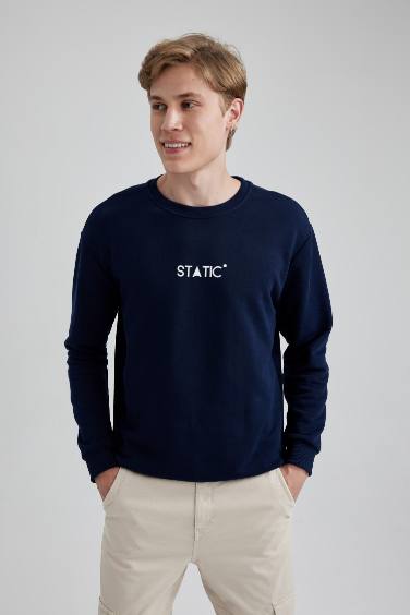 Regular Fit Crew Neck Printed Sweatshirt