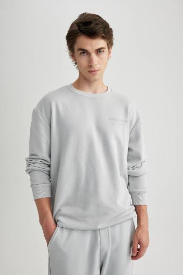 Regular Fit Crew Neck Printed Sweatshirt