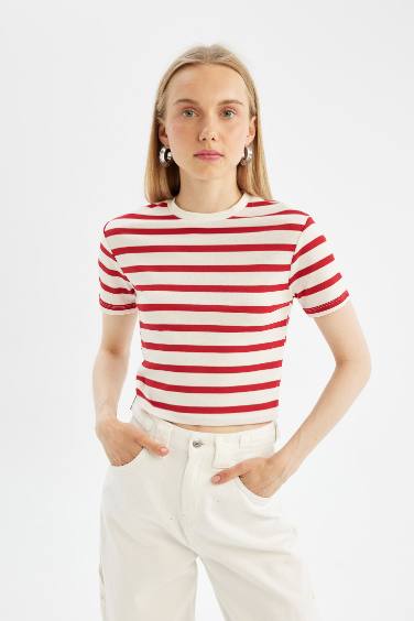 Fitted Striped Ribbed Short Sleeve T-Shirt