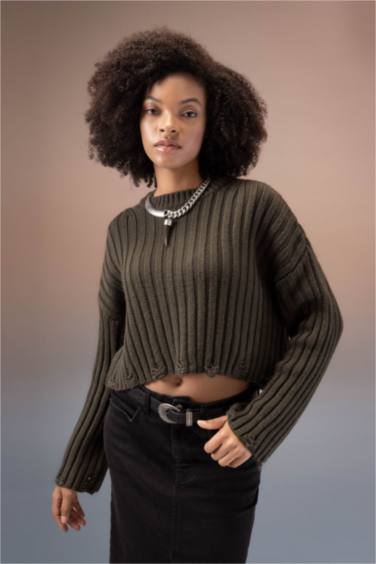 Regular Fit Crew Neck Knitwear Pullover