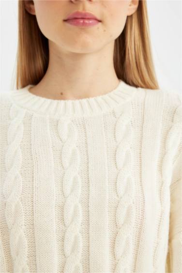 Regular Fit Bisiklet Yaka Saç Örgülü Triko Kazak