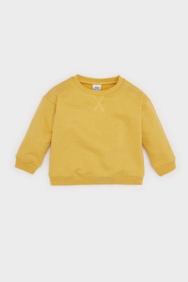 Regular Fit Crew Neck Sweatshirt