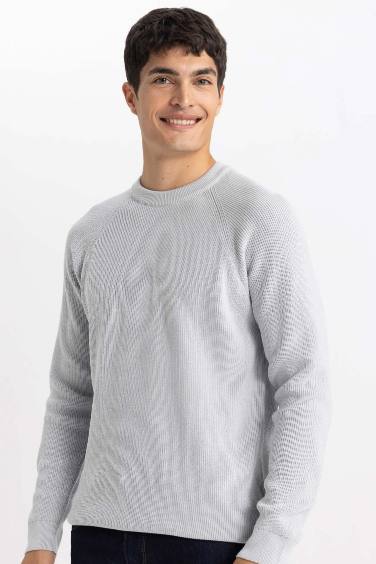 Standard Fit Crew Neck Basic Knitted Pullover