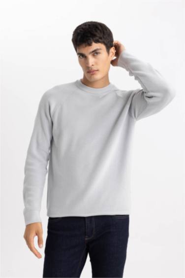 Standard Fit Crew Neck Basic Knitted Pullover