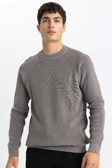 Standard Fit Crew Neck Basic Knitted Pullover