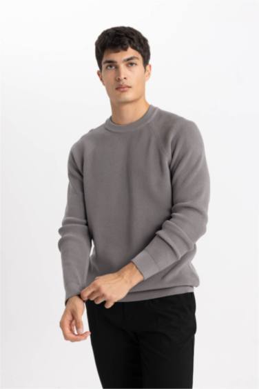 Standard Fit Crew Neck Basic Knitted Pullover