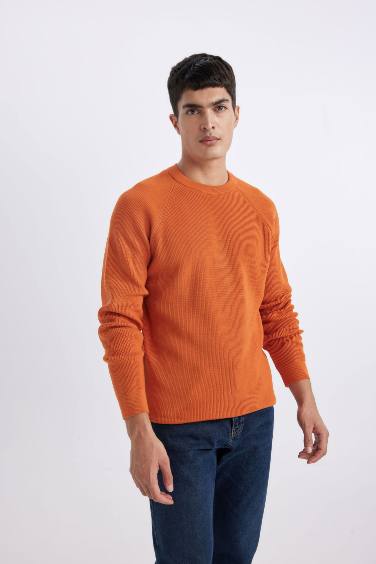 Standard Fit Crew Neck Basic Knitted Pullover