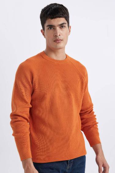 Standard Fit Crew Neck Basic Knitted Pullover