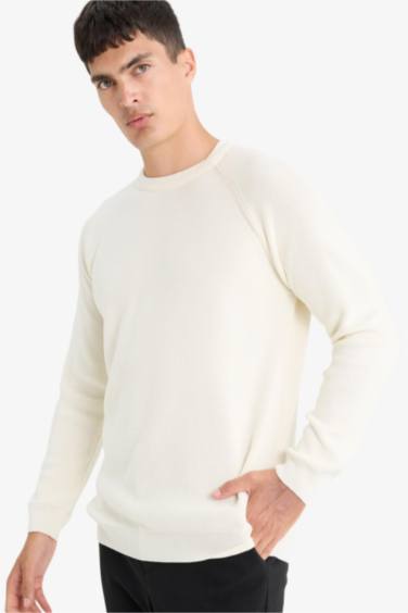 Standard Fit Crew Neck Knitwear Pullover