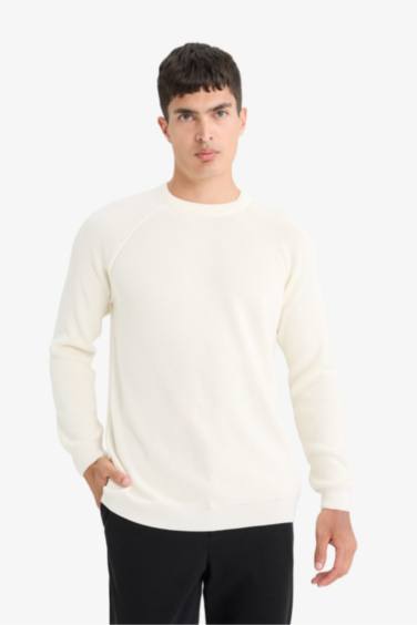 Standard Fit Crew Neck Knitwear Pullover