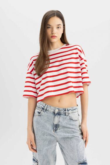 Slim Fit Striped Short Sleeve T-Shirt