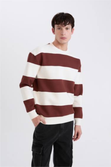 Boxy Fit Bisiklet Yaka Çizgili Dokuma Etiketli Sweatshirt