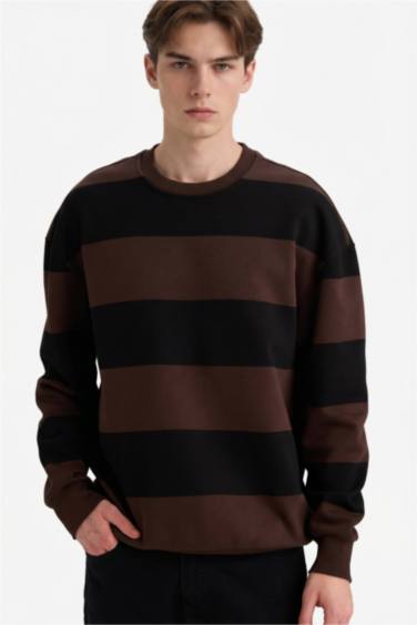 Boxy Fit Crew Neck Striped Sweatshirt