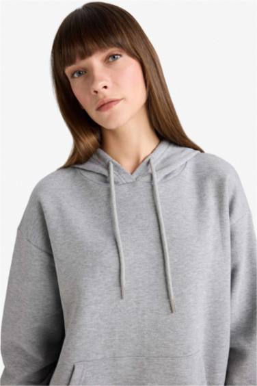 Relax Fit Hooded Basic Thick Fabric Sweatshirt