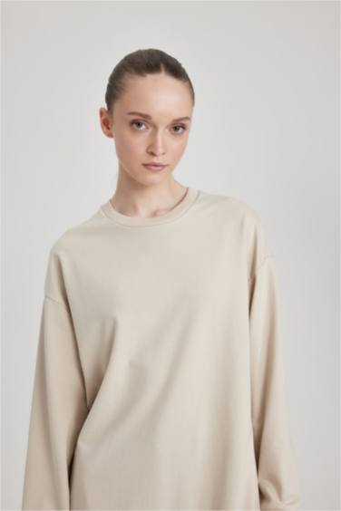 Regular Fit Crew Neck Sweatshirt Tunic