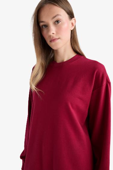 Regular Fit Crew Neck Sweatshirt Fabric Tunic