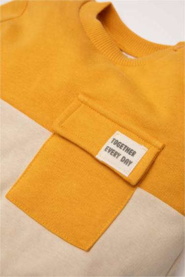 Baby Boy Cotton Regular Fit Color Block Soft Furry Inside Sweatshirt