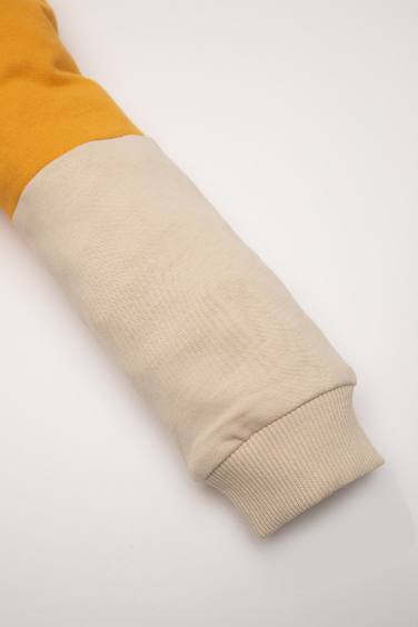 Baby Boy Cotton Regular Fit Color Block Soft Furry Inside Sweatshirt