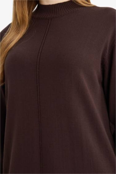 Regular Fit Half Turtleneck Dress